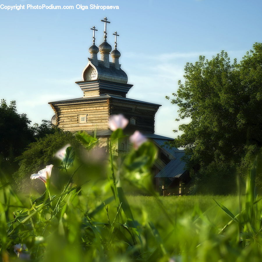 Architecture, Bell Tower, Clock Tower, Tower, Outdoors, Pond, Water
