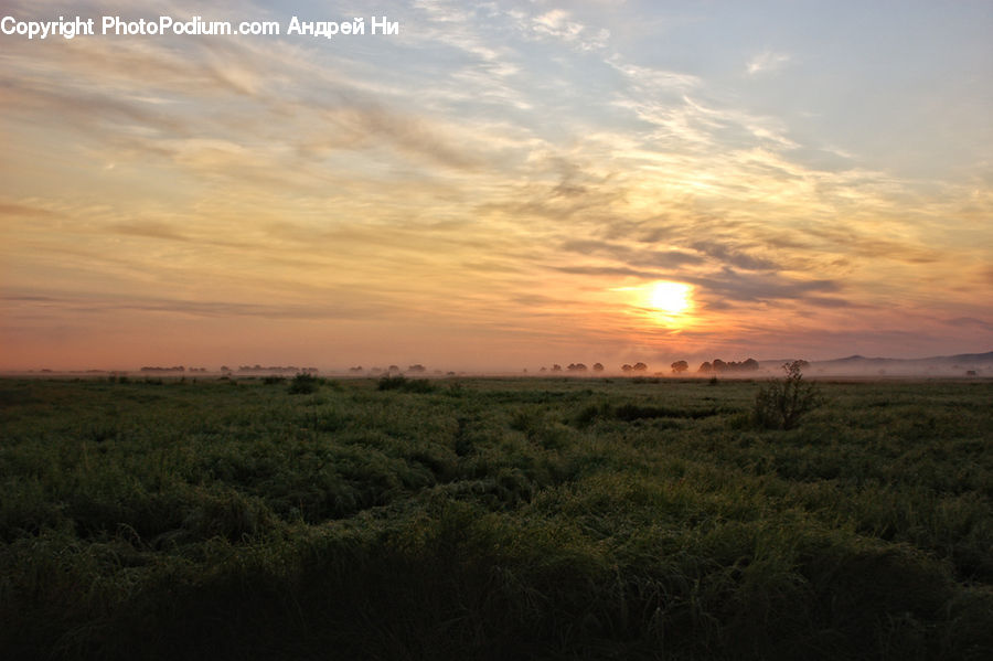 Field, Grass, Grassland, Land, Outdoors, Dawn, Dusk