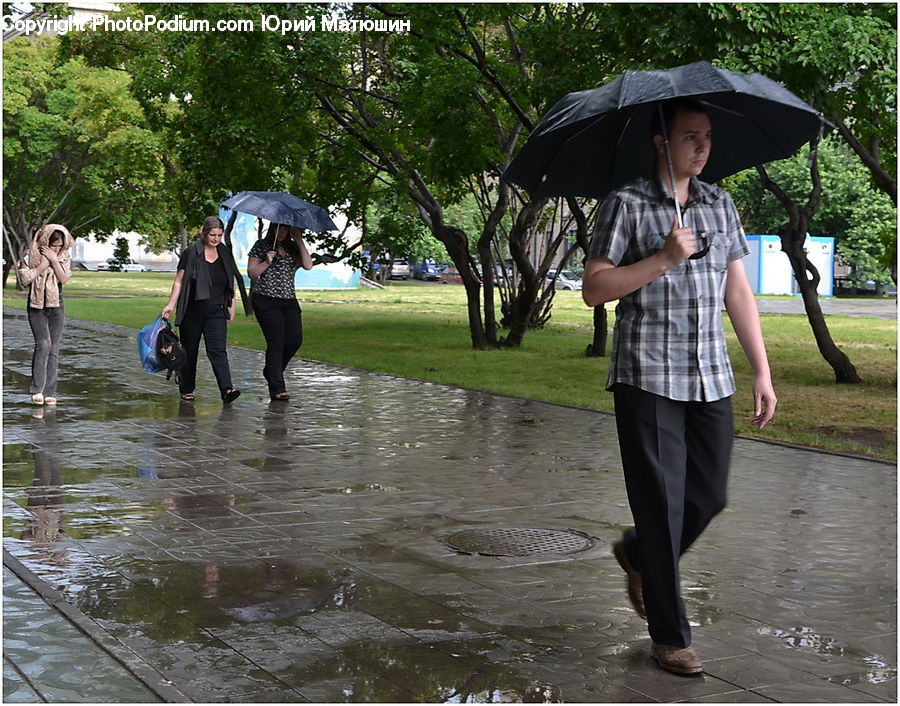 People, Person, Human, Umbrella, Leisure Activities, Walking