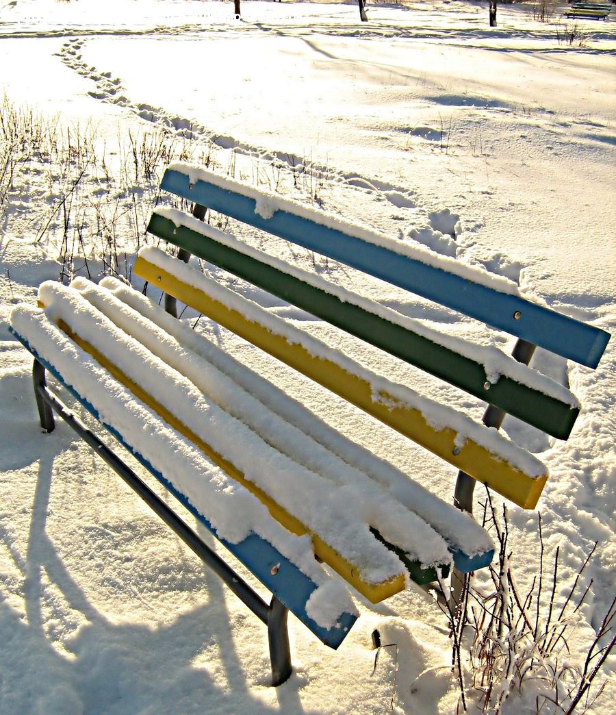 Park Bench, Ice, Outdoors, Snow, Lumber