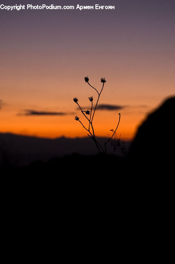 Dawn, Dusk, Red Sky, Sky, Sunrise, Sunset, Outdoors