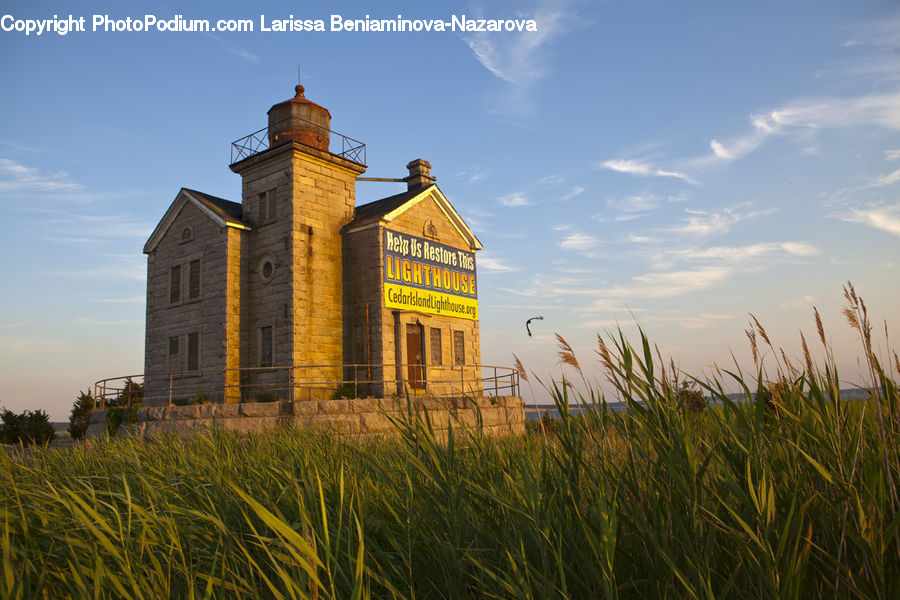 Field, Grass, Grassland, Plant, Beacon, Building, Lighthouse