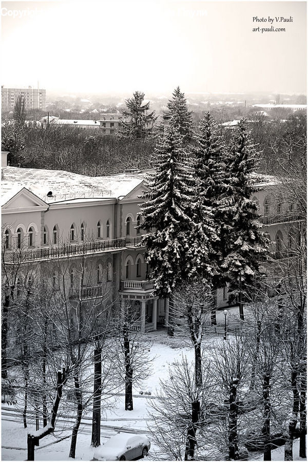 Ice, Outdoors, Snow, Building, Housing, Villa, Plant