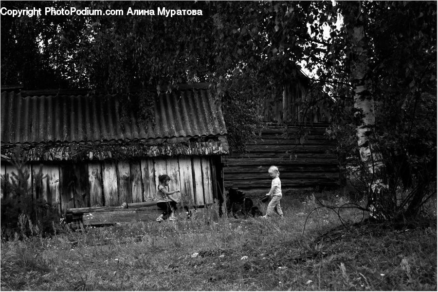 Cabin, Hut, Rural, Shack, Shelter, Countryside, Field