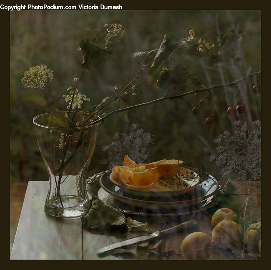 Dill, Plant, Glass, Goblet, Bush, Vegetation, Dining Table