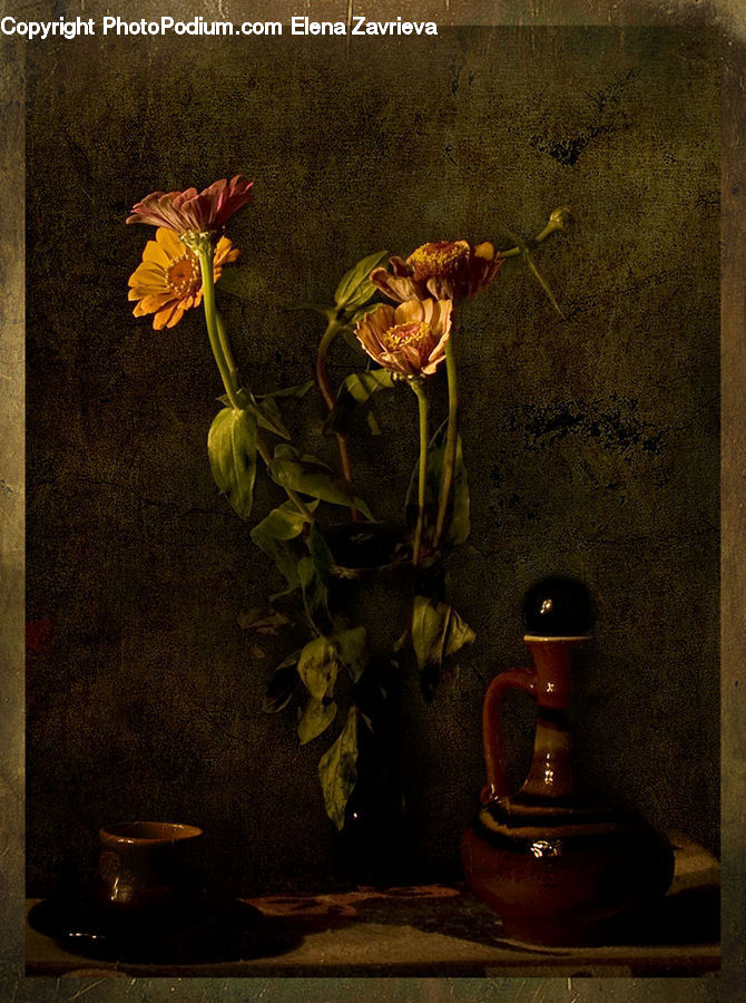 Amaryllis, Flower, Plant, Blossom, Flora, Daffodil, Flower Arrangement