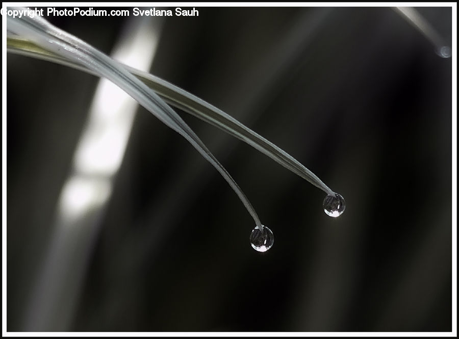 Droplet, Water