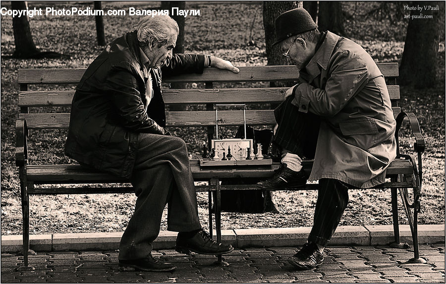 Human, People, Person, Chess, Game, Bench, Hat