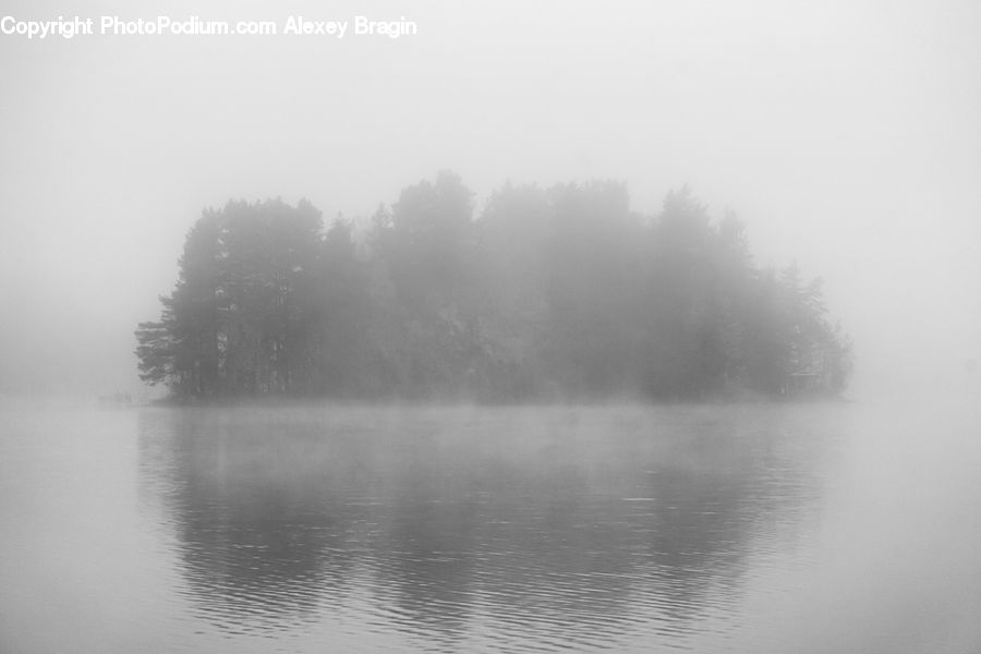 Fog