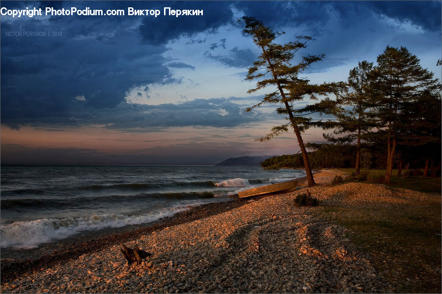 Beach, Coast, Outdoors, Sea, Water, Plant, Tree