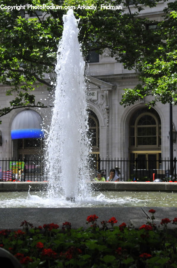 Plant, Potted Plant, Fountain, Water, Blossom, Flora, Flower