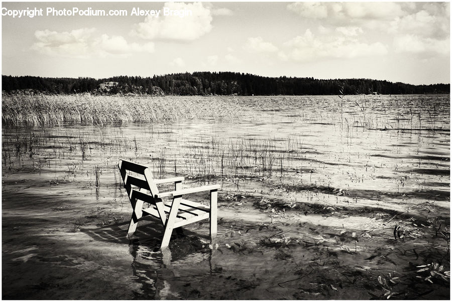 Chair, Furniture, Bench, Dock, Landing, Pier, Outdoors
