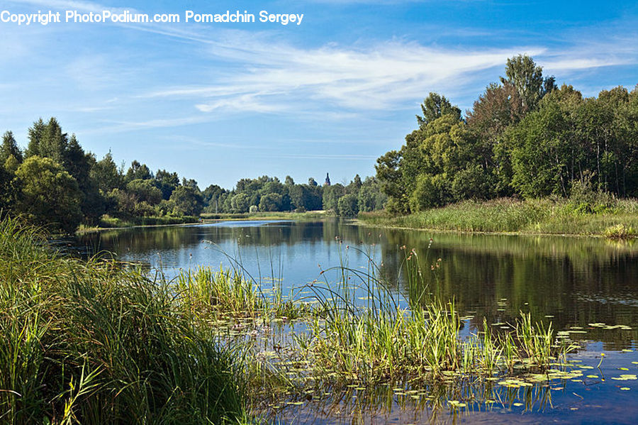 Field, Grass, Grassland, Plant, Lake, Outdoors, Water