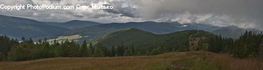 Mountain, Mountain Range, Outdoors, Crest, Peak, Conifer, Fir