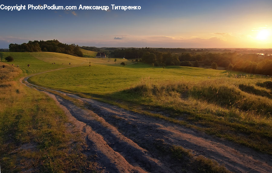 Dirt Road, Gravel, Road, Field, Grass, Grassland, Land