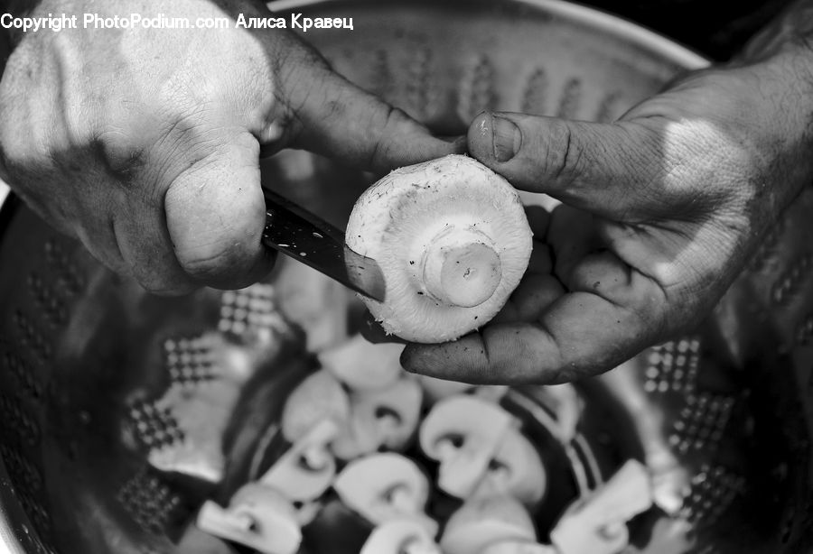 Agaric, Amanita, Fungus, Mushroom, Plant, Produce, Vegetable