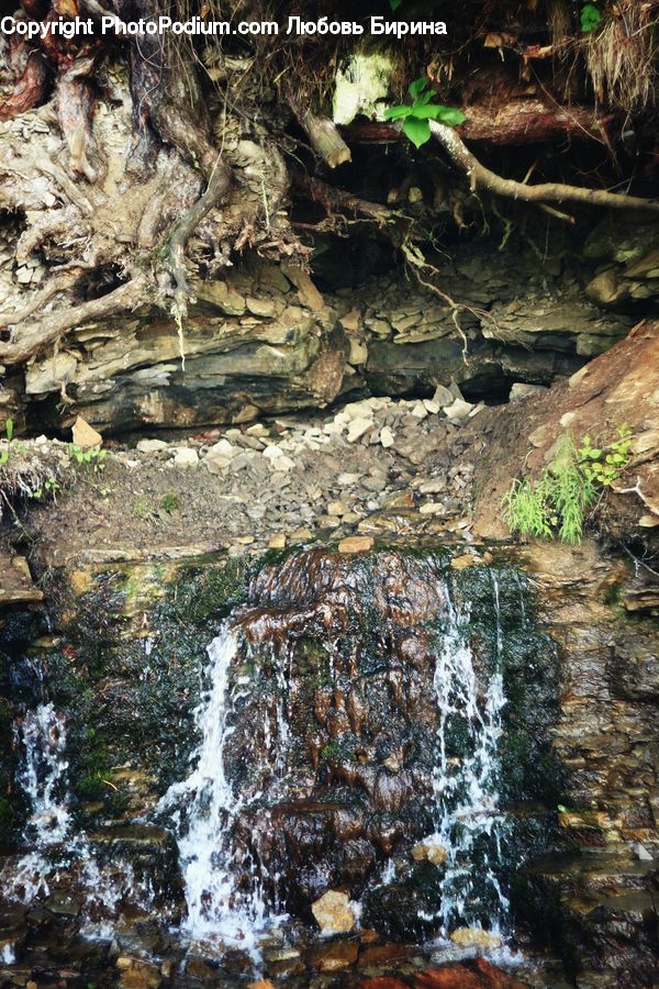 Creek, Outdoors, River, Water, Cave, Arachnid, Insect