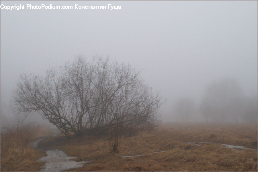 Fog, Dirt Road, Gravel, Road, Mist, Outdoors