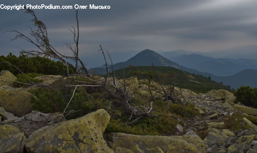 Crest, Mountain, Outdoors, Peak, Moss, Plant, Bush