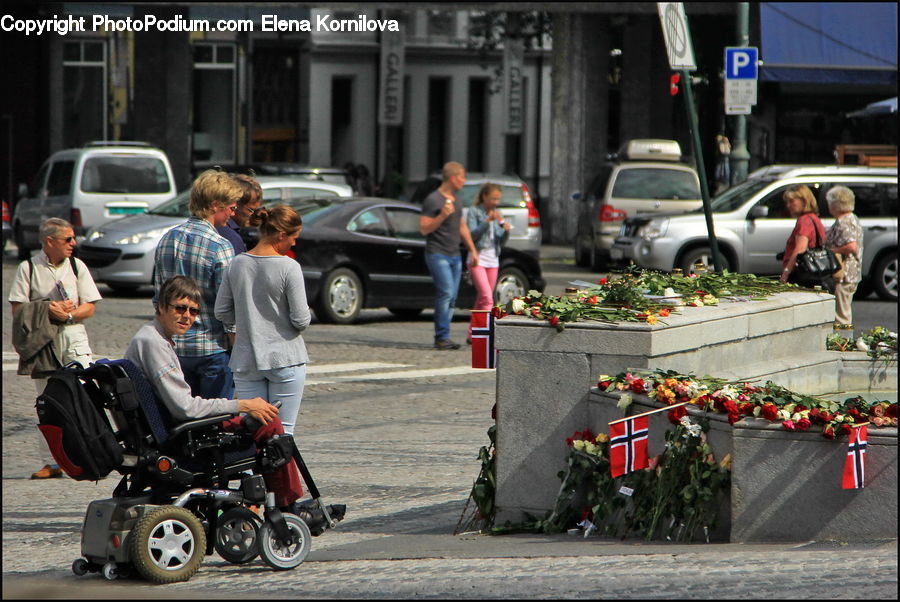 Plant, Potted Plant, Automobile, Car, Vehicle, People, Person