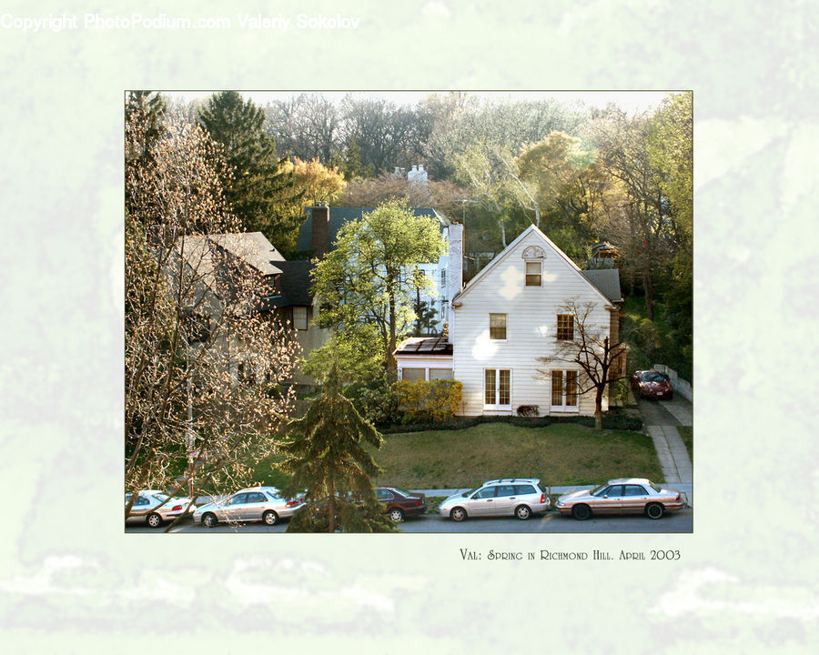 Building, Cottage, Housing, Plant, Tree, Automobile, Car