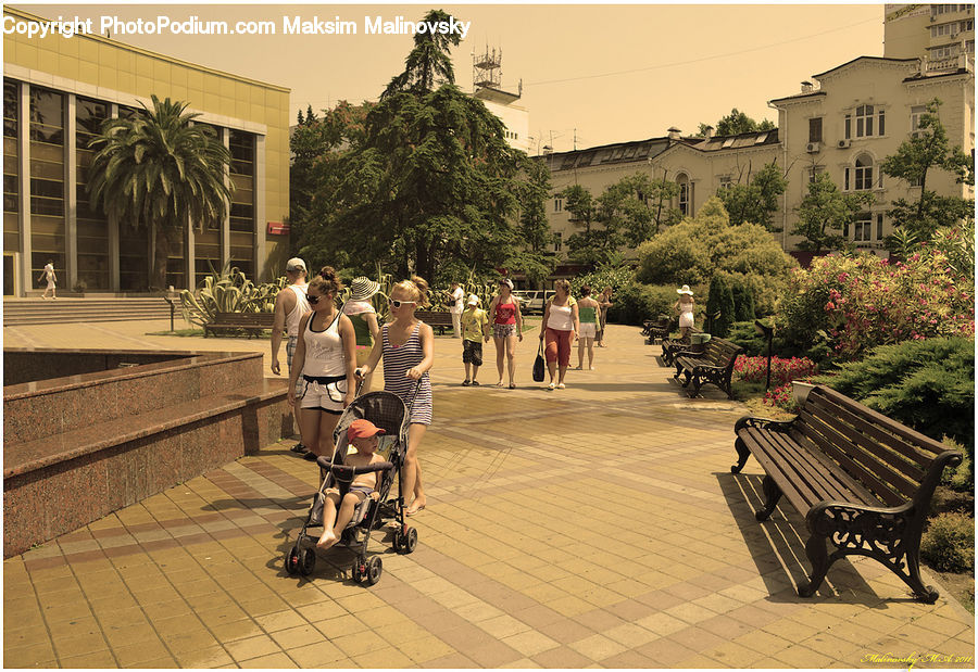 Stroller, People, Person, Human, Park Bench, Bench, Carriage