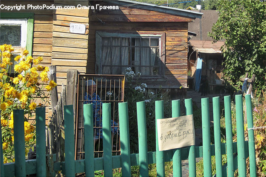 Plant, Potted Plant, Vine, Cabin, Hut, Rural, Shack