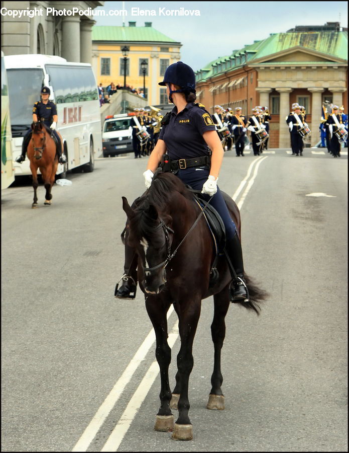 People, Person, Human, Officer, Police, Animal, Horse