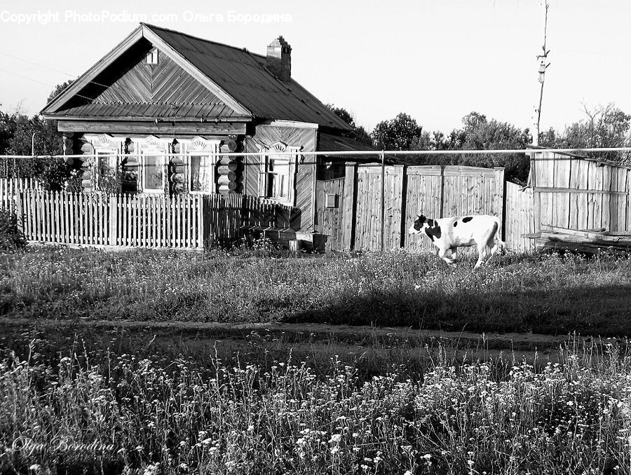 Countryside, Farm, Field, Building, Cottage, Housing, Cabin
