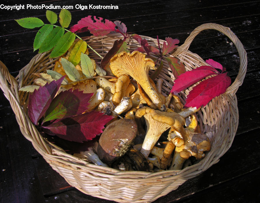 Basket, Agaric, Mushroom, Plant, Food, Seafood, Amanita