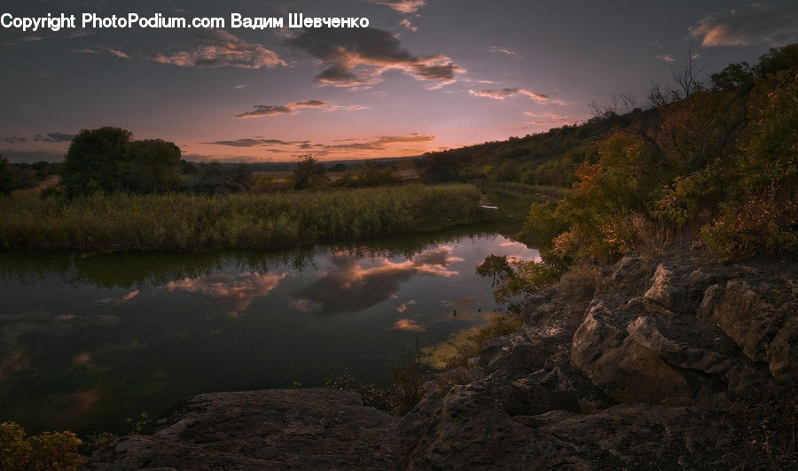 Outdoors, Pond, Water, River, Land, Marsh, Swamp