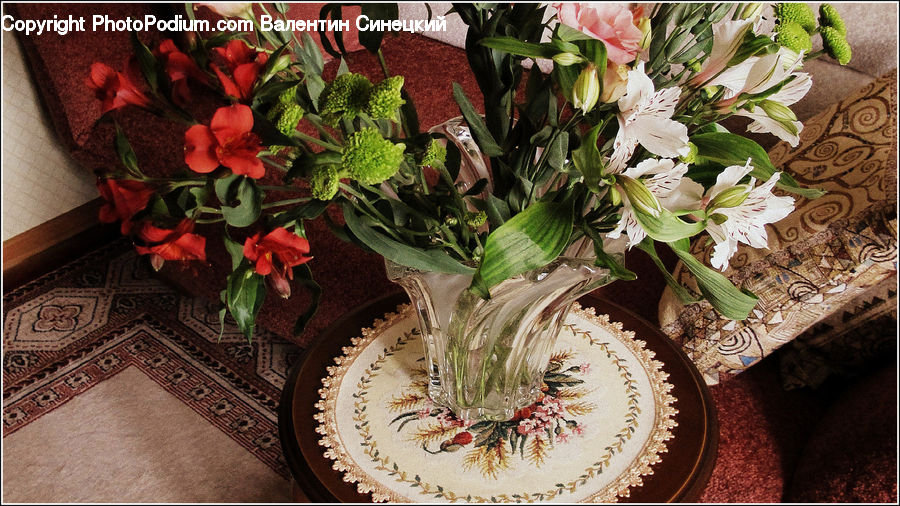 Plant, Potted Plant, Blossom, Flower, Rose, Ornament, Flower Arrangement