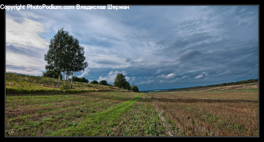 Dirt Road, Gravel, Road, Field, Grass, Grassland, Land