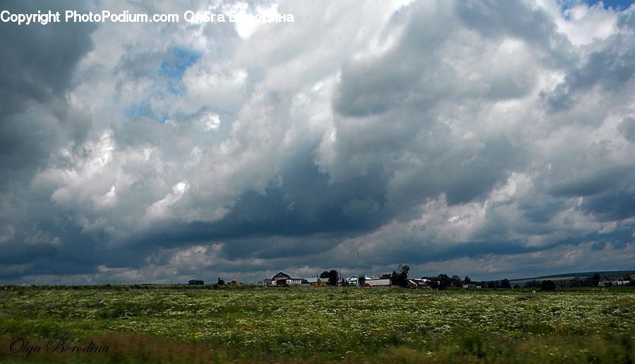 Cloud, Cumulus, Sky, Field, Grass, Grassland, Land