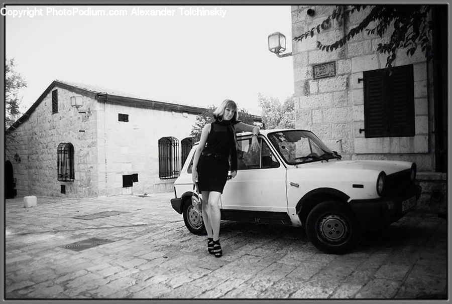 People, Person, Human, Plant, Potted Plant, Car, Van