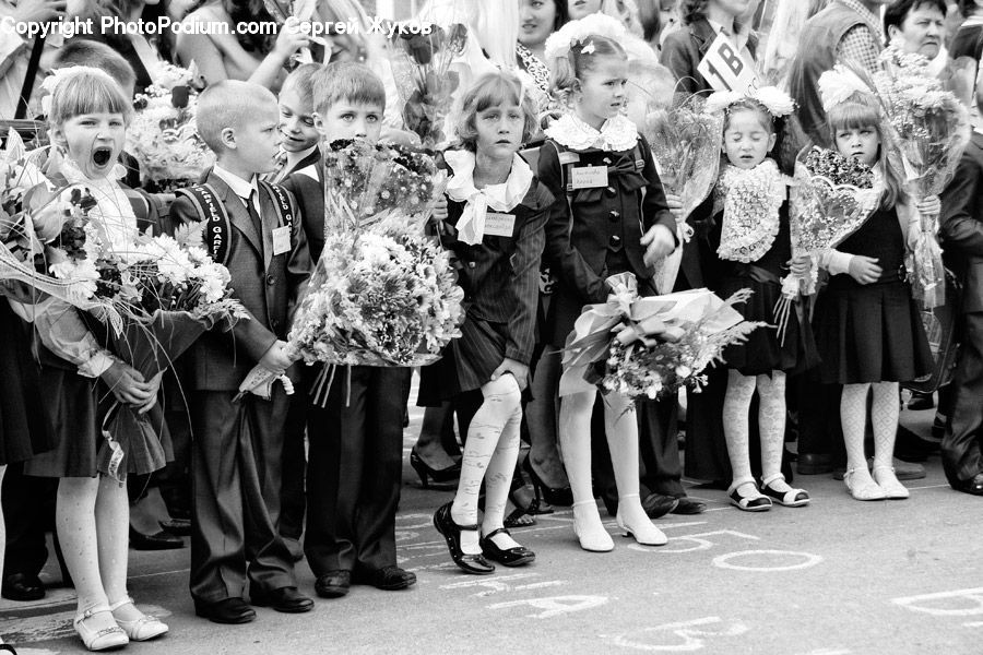 Human, People, Person, Crowd, Carnival, Festival, Parade