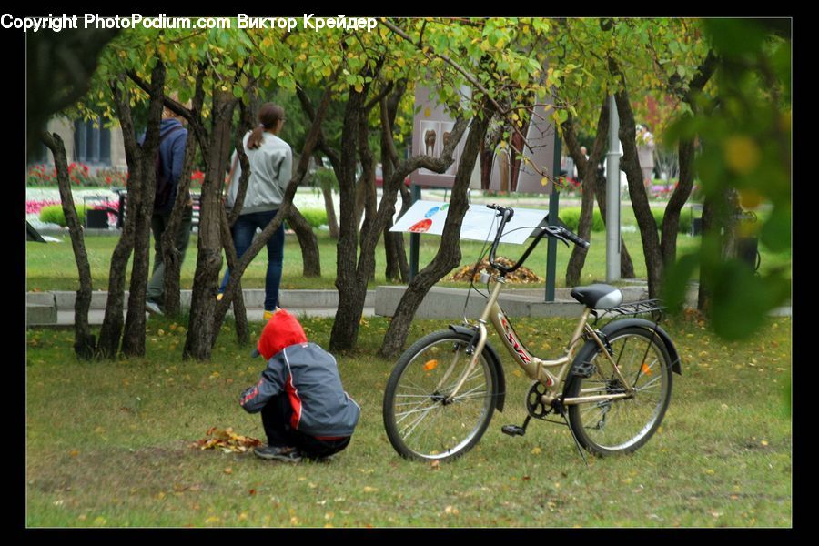 People, Person, Human, Bicycle, Bike, Vehicle, Bench