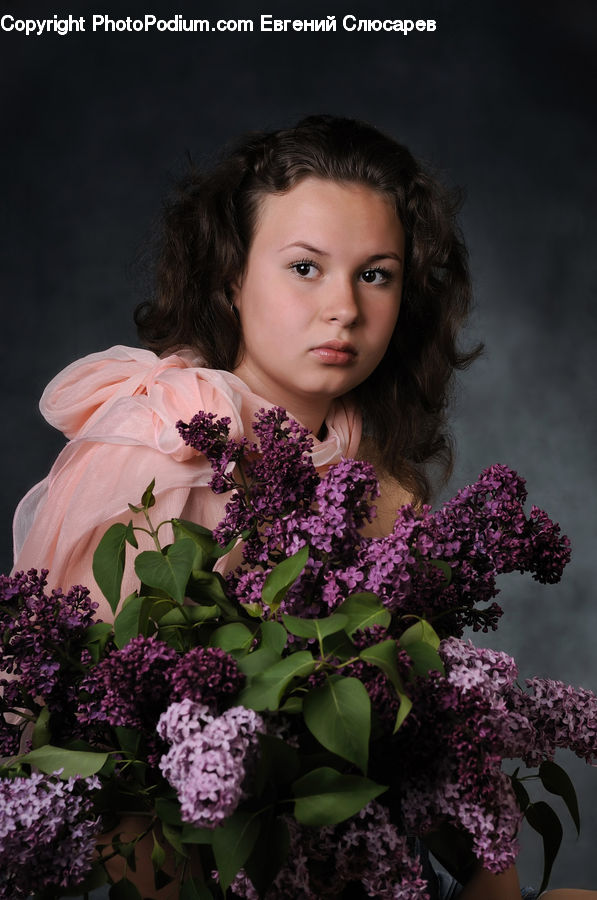 Blossom, Flower, Lilac, Plant, Human, People, Person