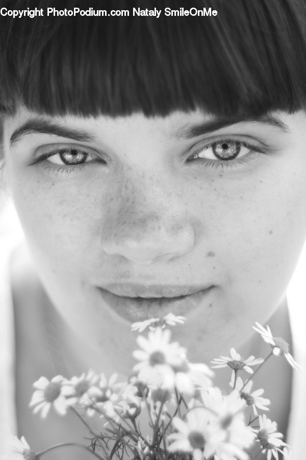 Human, People, Person, Portrait, Daisies, Daisy