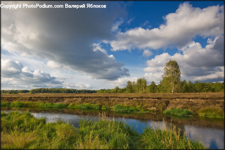 Cloud, Cumulus, Sky, Field, Grass, Grassland, Land