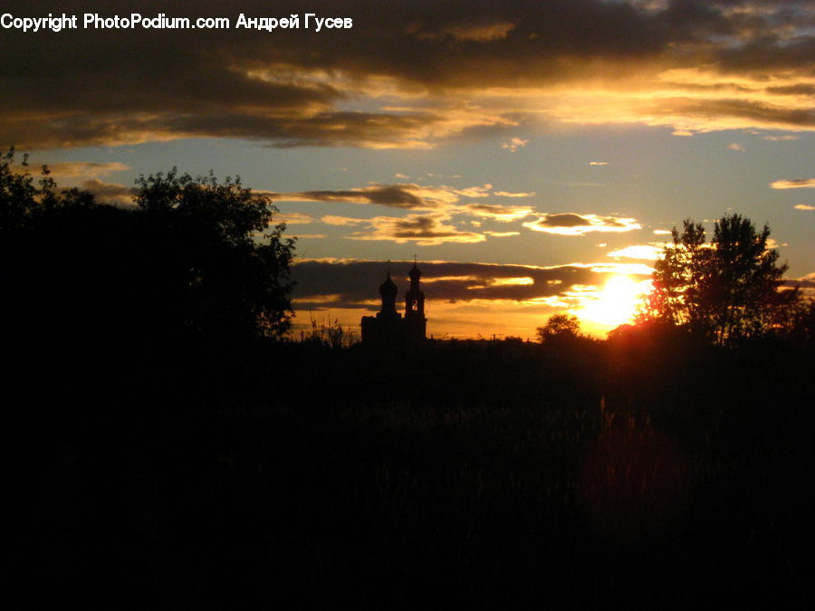 Dusk, Outdoors, Sky, Sunlight, Sunrise, Sunset, Conifer