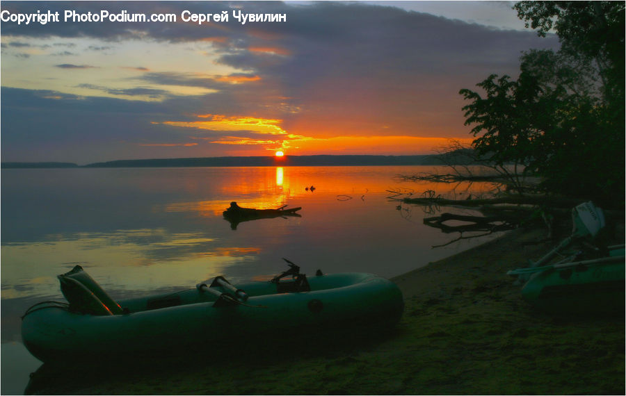 Boat, Dinghy, Canoe, Rowboat, Plant, Tree, Dusk