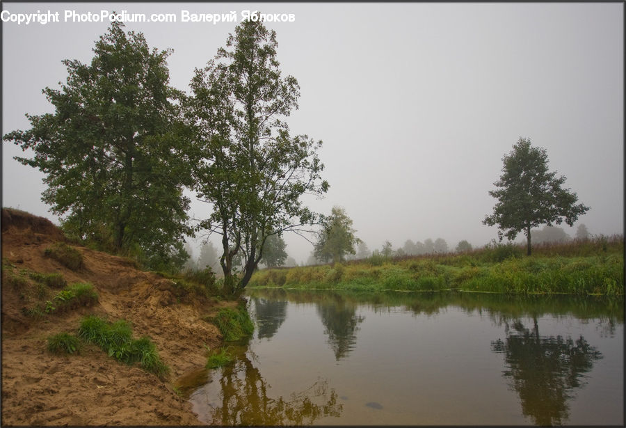 Outdoors, Pond, Water, Flood, Land, Marsh, Swamp