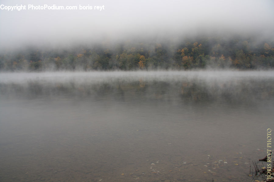 Fog, Mist, Outdoors, Land, Marsh, Pond, Swamp