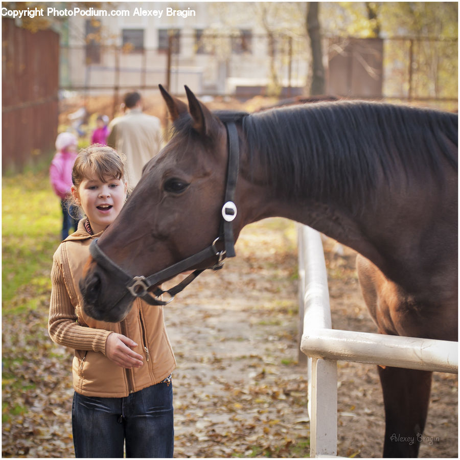 People, Person, Human, Animal, Horse, Mammal, Colt Horse