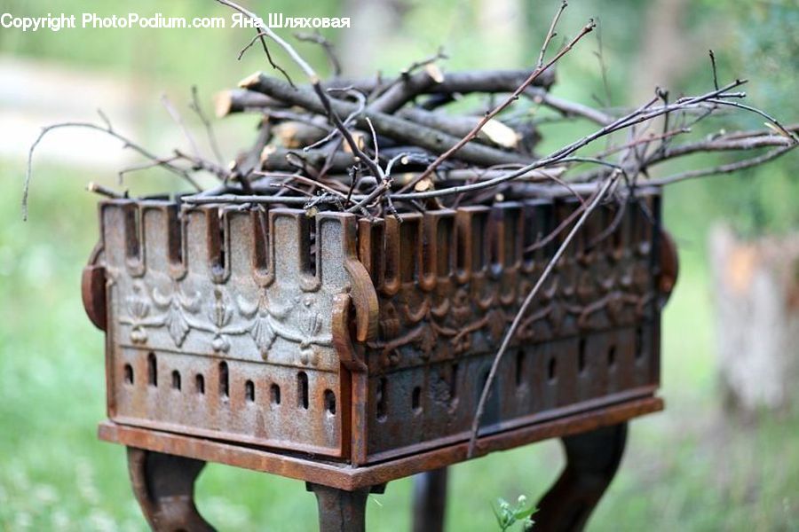 Barbed Wire, Wire, Bird Feeder, Plant, Vine