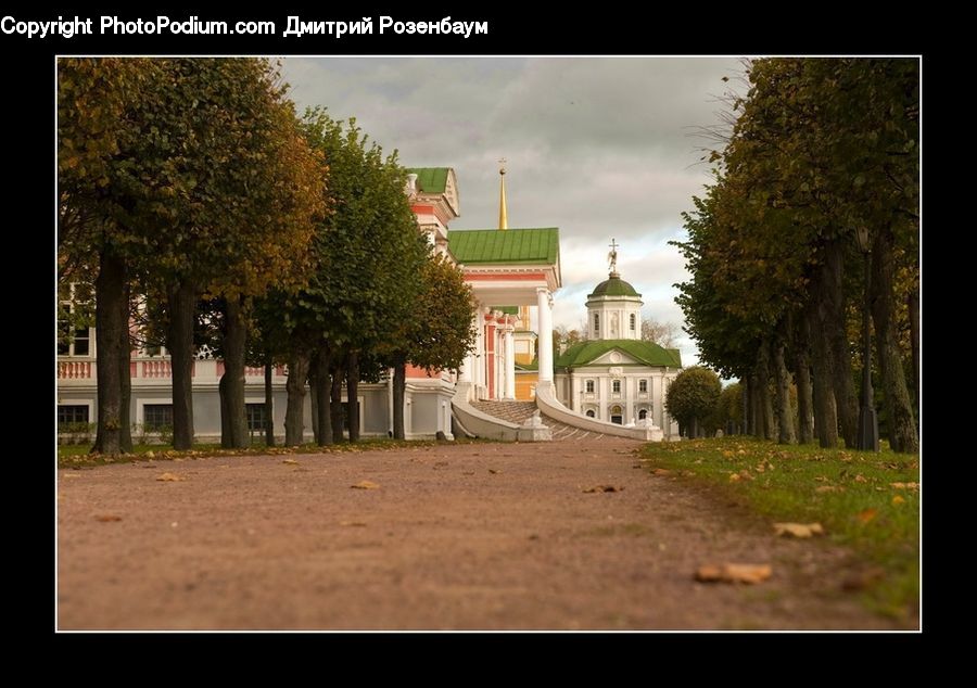 Plant, Potted Plant, Architecture, Church, Worship, Tree, Building