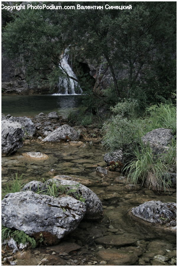 Creek, Outdoors, River, Water, Waterfall, Bush, Plant