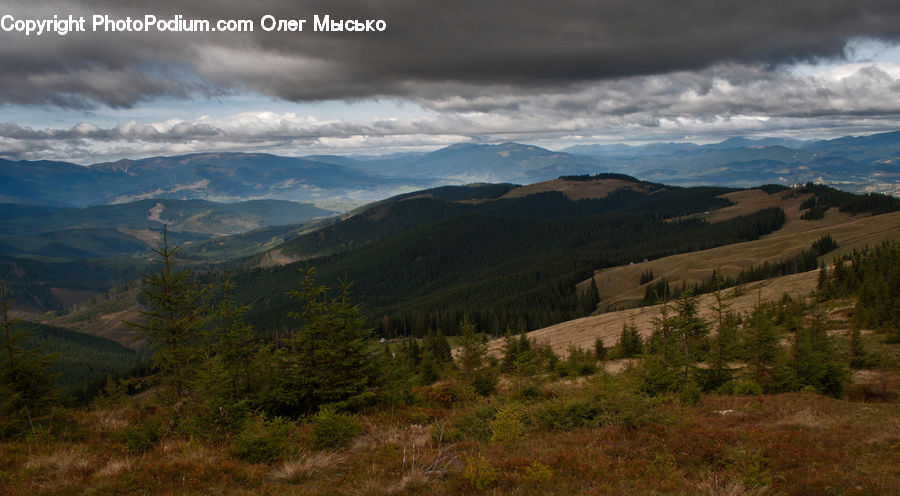 Crest, Mountain, Mountain Range, Outdoors, Peak, Field, Grass