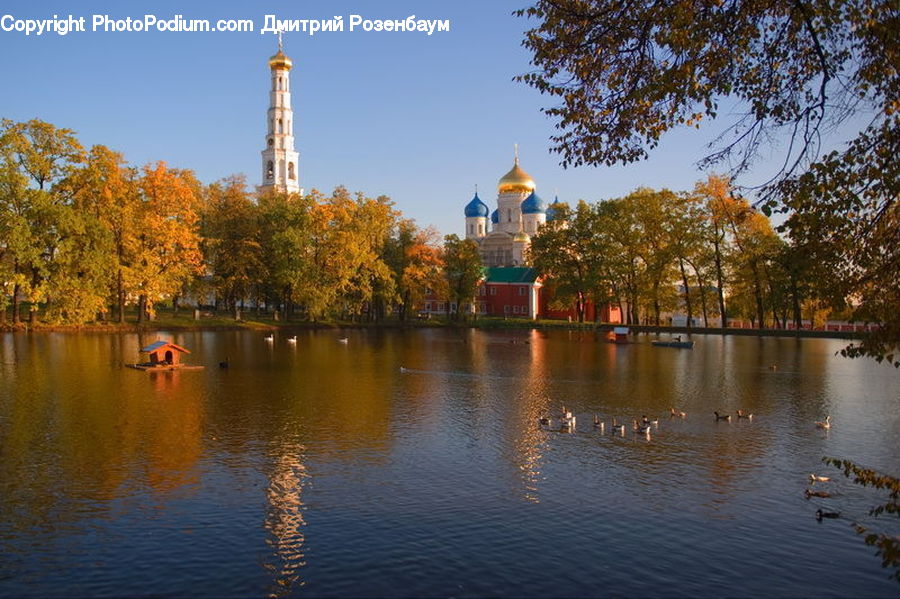 Lake, Outdoors, Water, Bird, Waterfowl, Architecture, Bell Tower